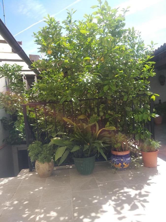 El Patio Andalu Ardales Exterior foto
